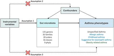 Genetic evidence on the causality between gut microbiota and various asthma phenotypes: a two-sample Mendelian randomization study